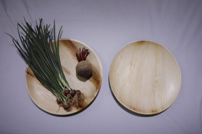 Palm Leaf Disposable Plates